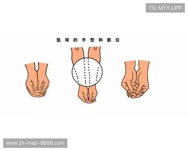 排球新手必看：从零基础到实力提升的全面入门攻略